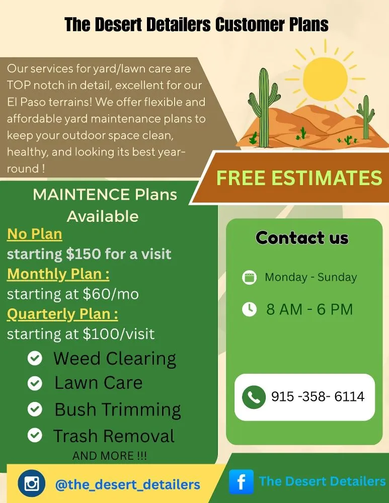Local landscape installation for outdoor upgrades in El Paso, TX by The Desert Detailers