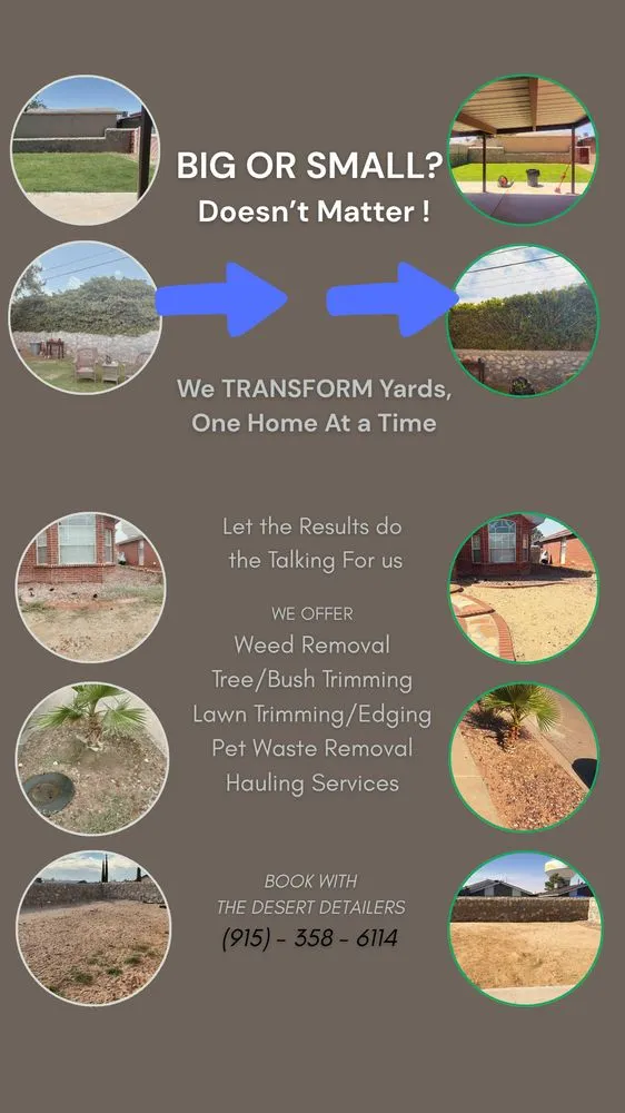 Custom lawn mowing service with custom design across El Paso, TX - The Desert Detailers