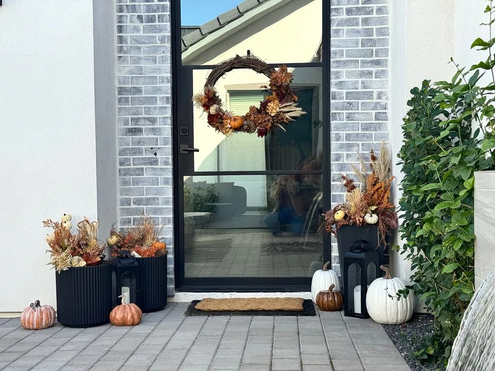 Reliable landscaping services experts serving Mesa, AZ - The Desert Root