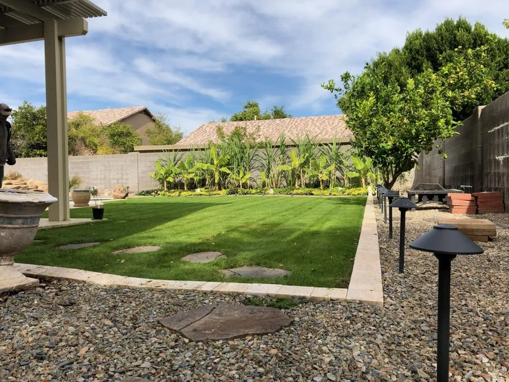 Professional lawn care service for residential properties across Mesa, AZ - The Desert Root