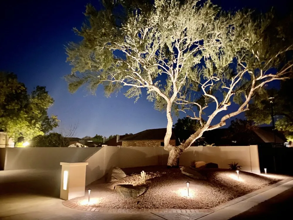 Reliable yard cleanup service for year-round maintenance in Mesa, AZ by The Desert Root