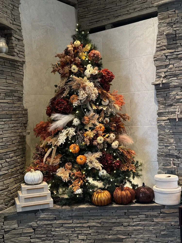 Trusted yard cleanup service for homes across Mesa, AZ - The Desert Root