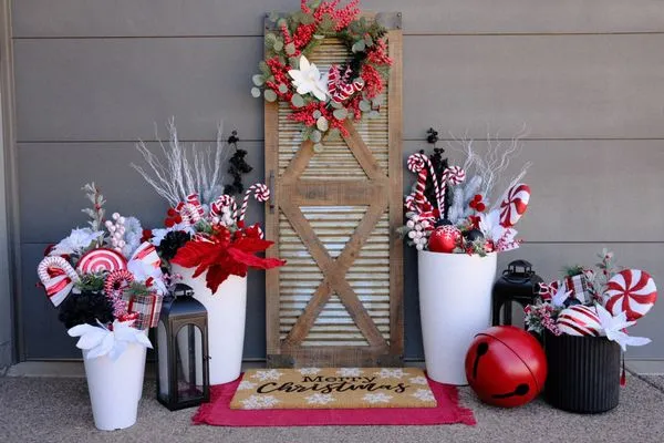 The Desert Root Logo