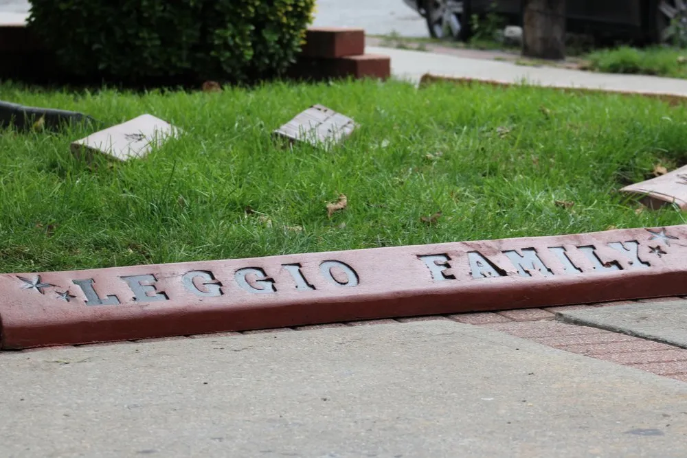 Affordable landscaping services for beautiful yards in New York, NY by The Design Curb