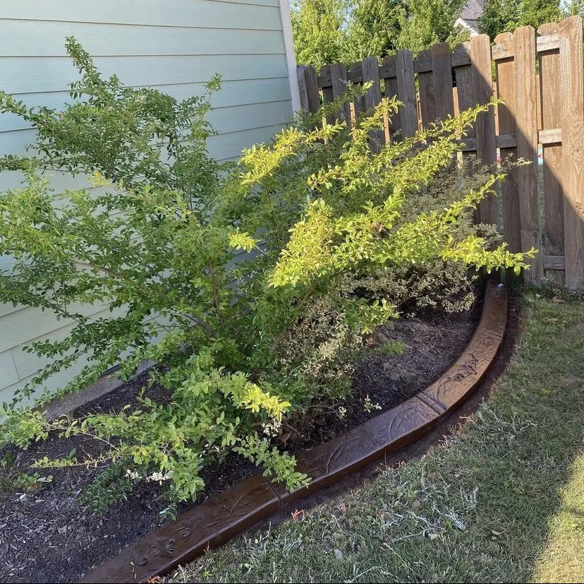 Local residential landscaping for year-round maintenance in New York, NY by The Design Curb