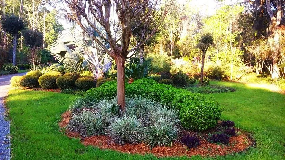 Affordable landscaping services for year-round maintenance in Jacksonville, FL by The Designers Landscape