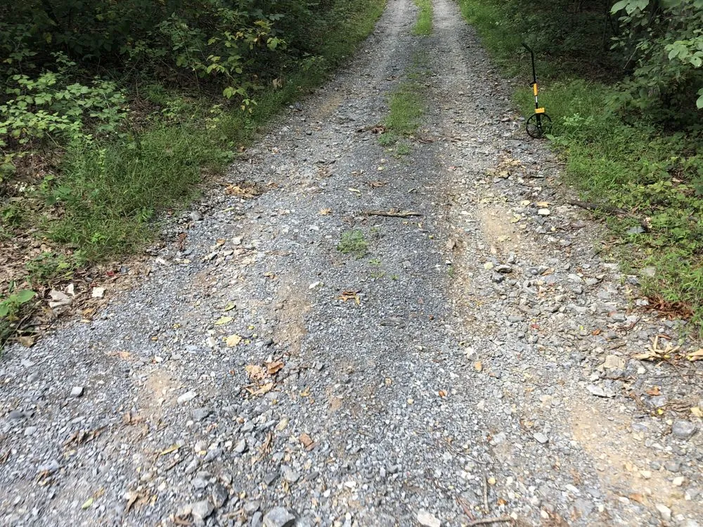 Reliable landscape design for beautiful yards in Stephens City, VA by The Digger Dude