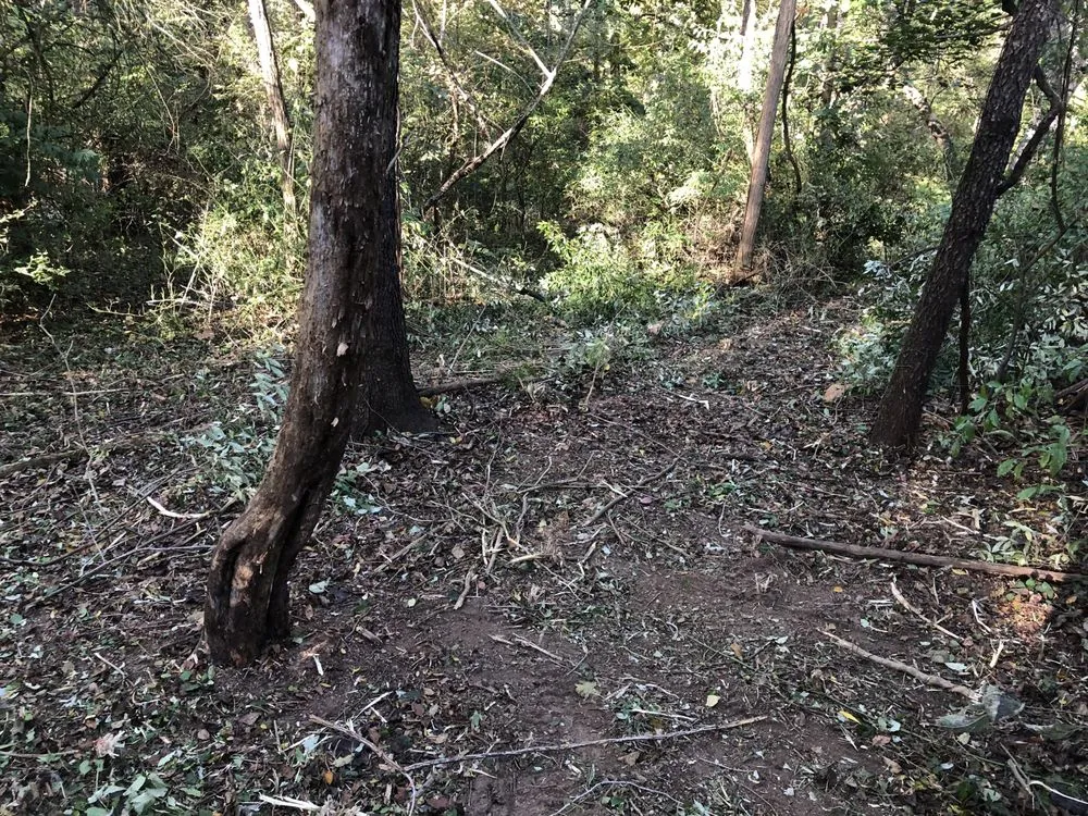 Professional lawn care service in Stephens City, VA by The Digger Dude