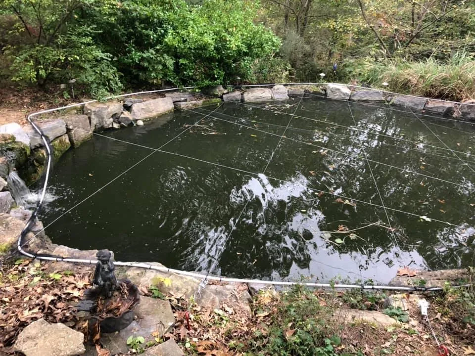 Top-rated yard maintenance experts serving Stephens City, VA - The Digger Dude