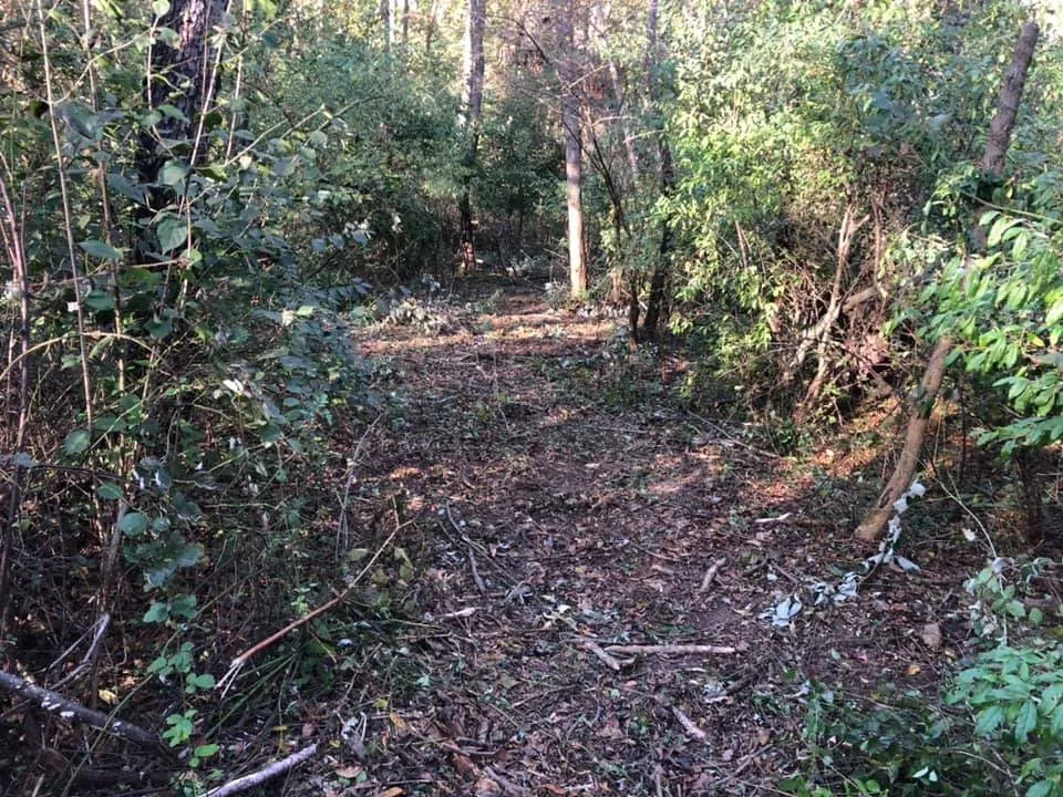 Affordable lawn mowing service for residential properties across Stephens City, VA - The Digger Dude