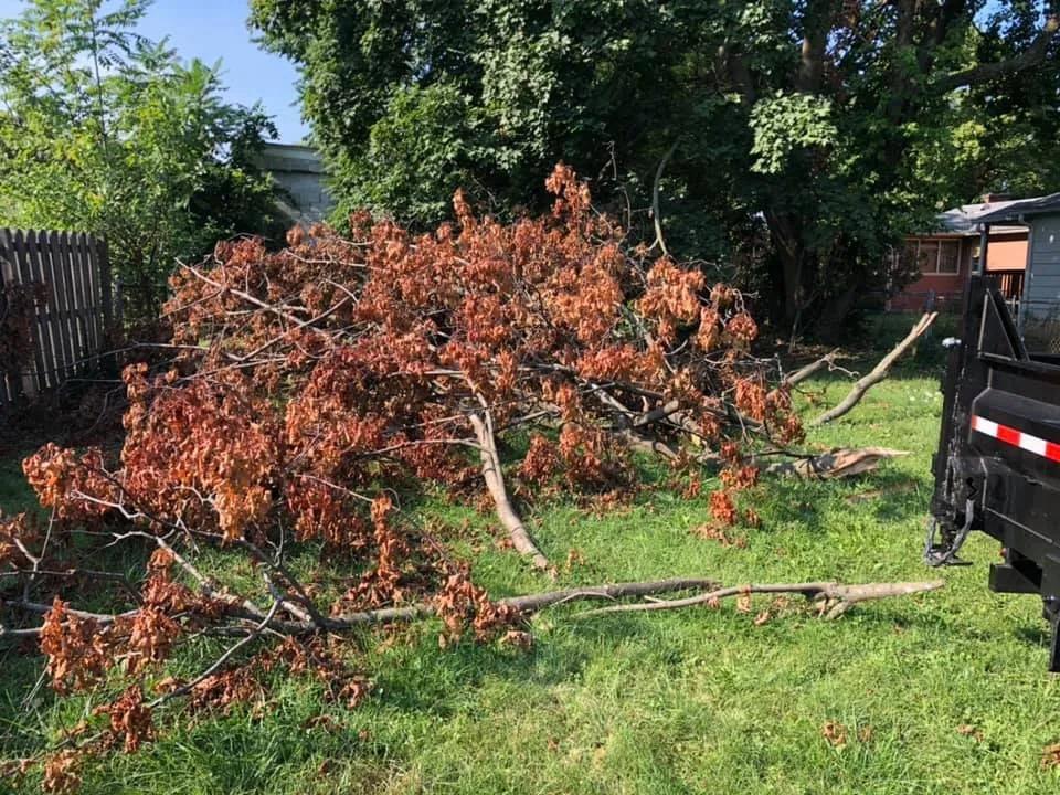 Local landscape installation in Stephens City, VA by The Digger Dude