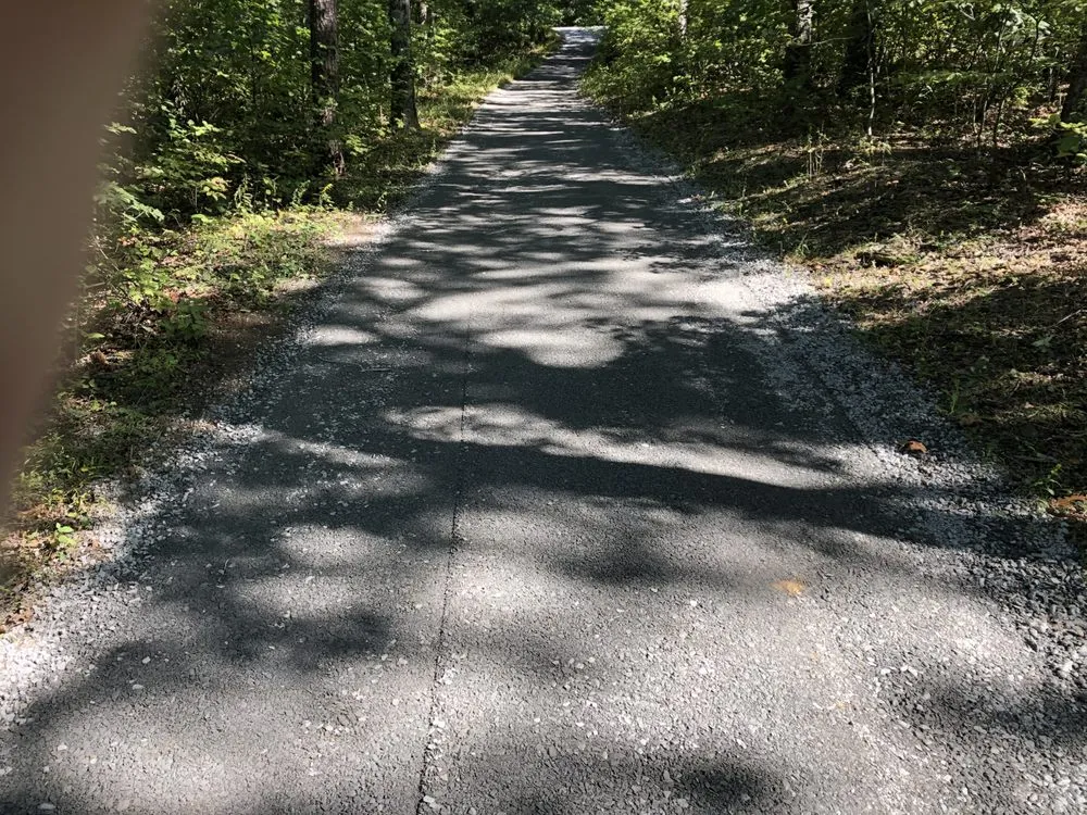 Top-rated yard cleanup service in Stephens City, VA by The Digger Dude