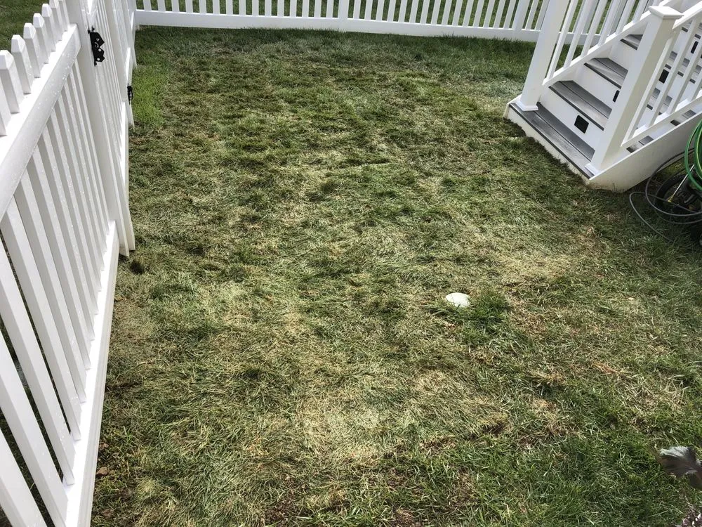 Custom landscape installation for residential properties in Stephens City, VA by The Digger Dude