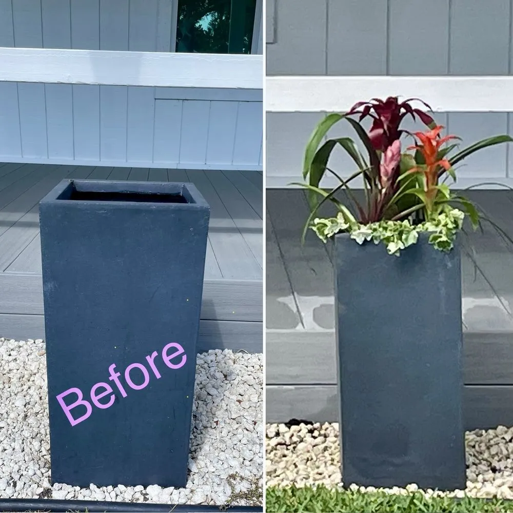 Local landscape design for homes across Vero Beach, FL - The Diligent Gardener