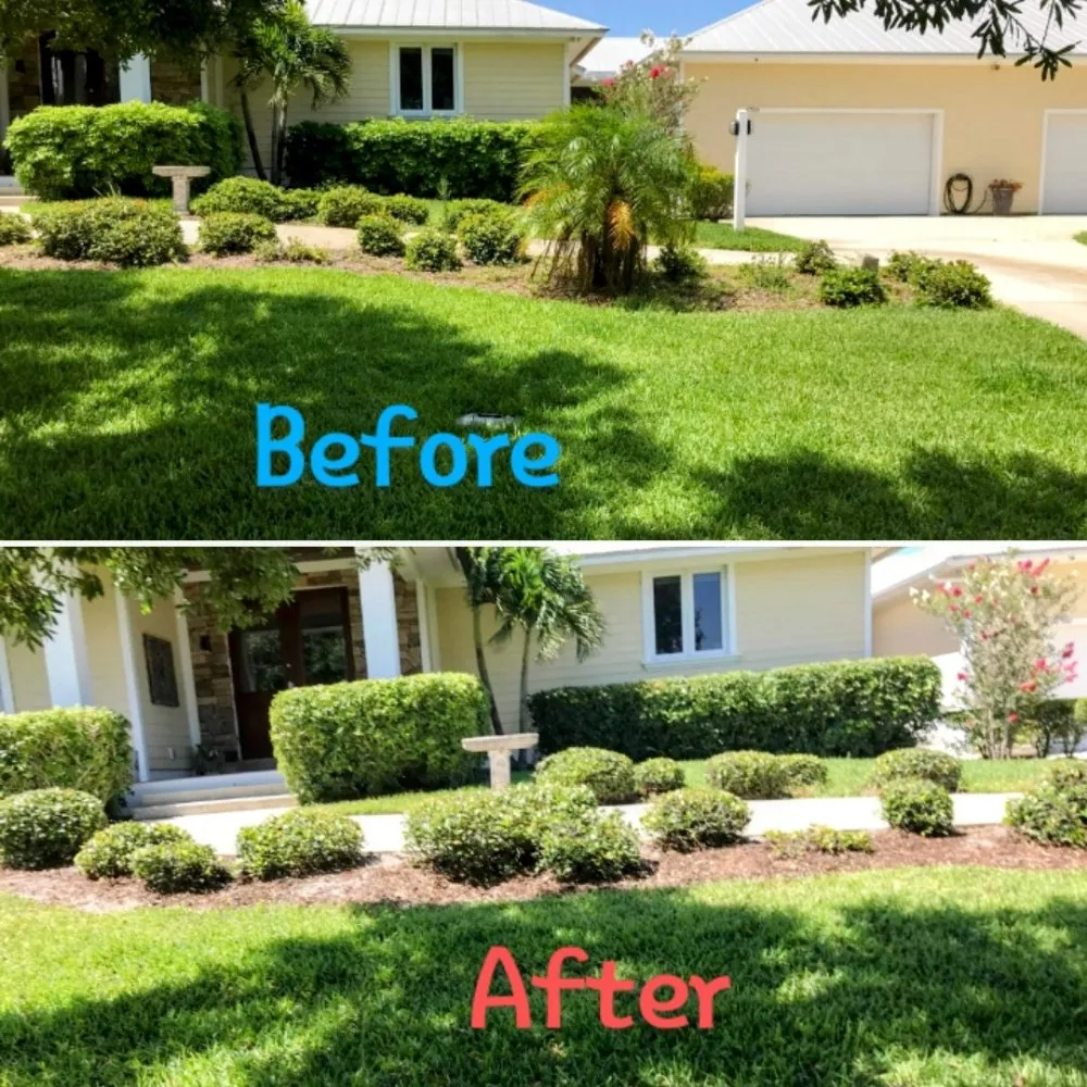 Professional lawn care service with custom design across Vero Beach, FL - The Diligent Gardener