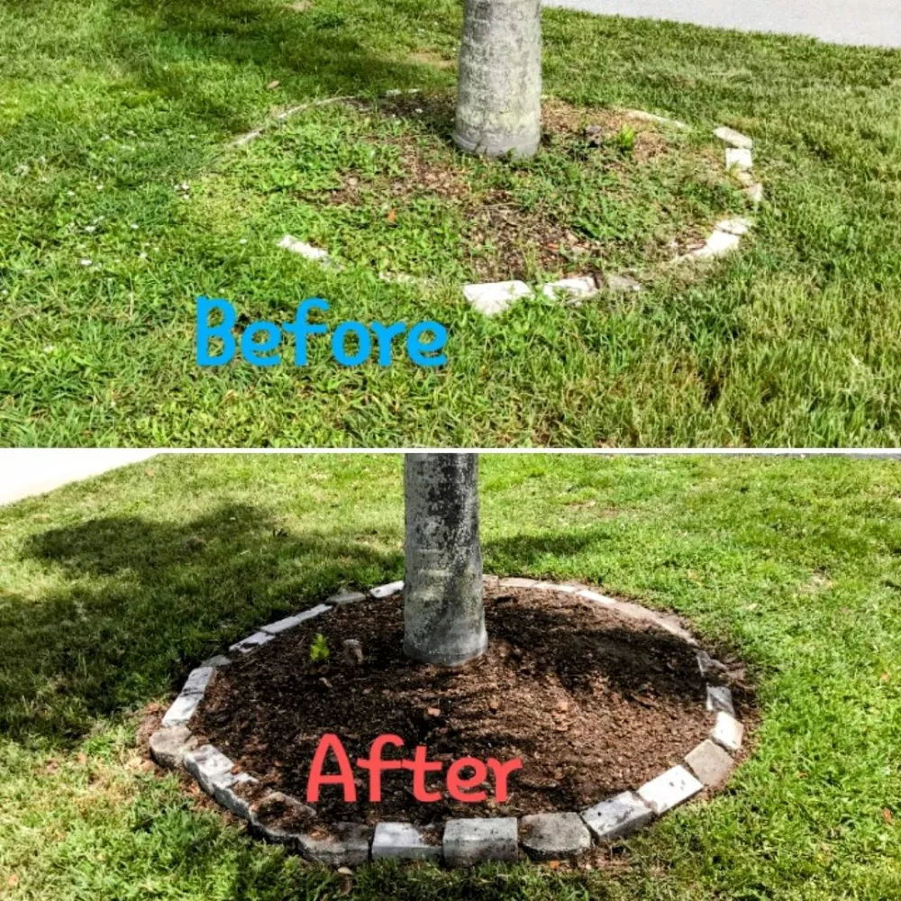 Expert landscaping services for year-round maintenance in Vero Beach, FL by The Diligent Gardener