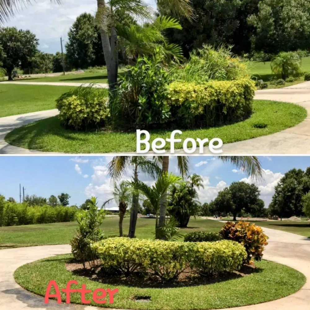 Reliable outdoor landscaping in Vero Beach, FL - The Diligent Gardener