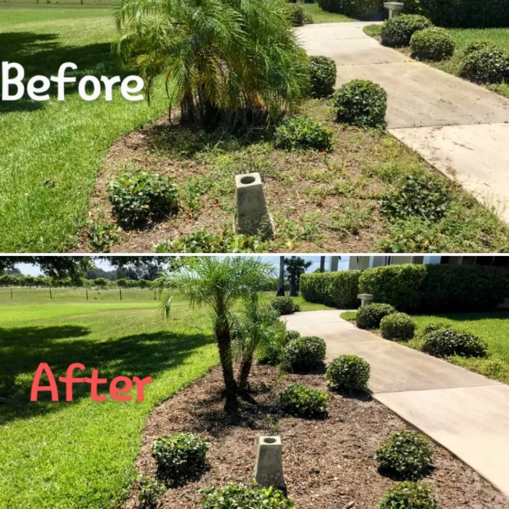 Trusted yard maintenance for residential properties across Vero Beach, FL - The Diligent Gardener