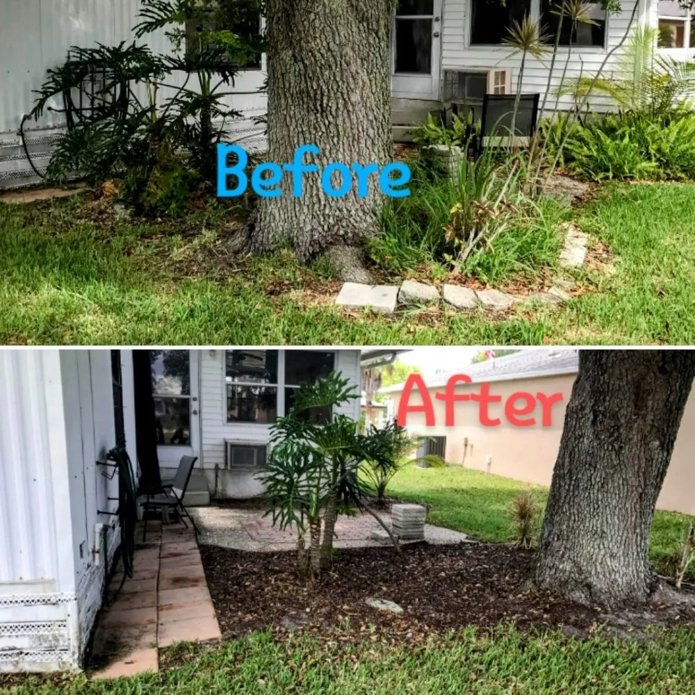 Professional yard maintenance for year-round maintenance in Vero Beach, FL by The Diligent Gardener
