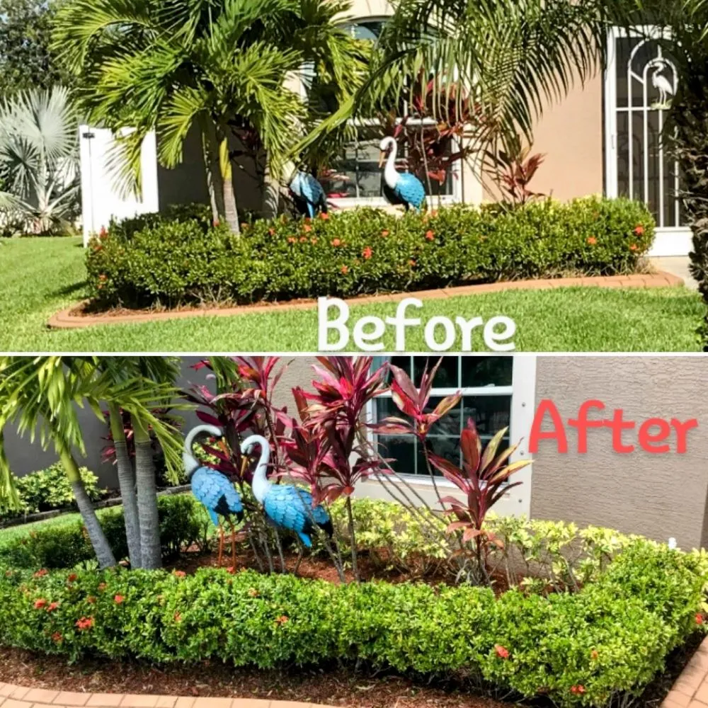 Expert landscaping services experts serving Vero Beach, FL - The Diligent Gardener