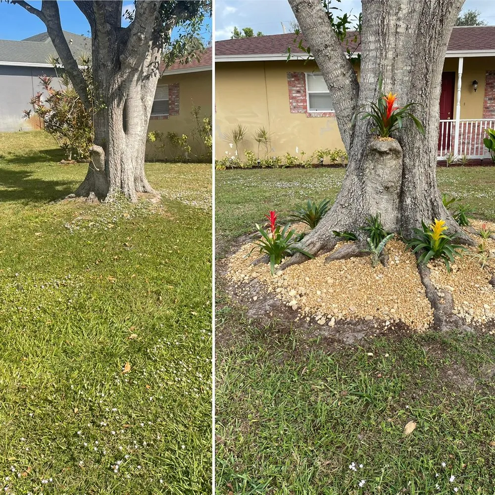 Trusted landscape design experts serving Vero Beach, FL - The Diligent Gardener