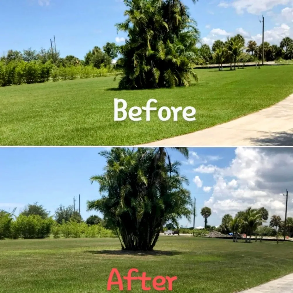 Reliable lawn mowing service experts serving Vero Beach, FL - The Diligent Gardener