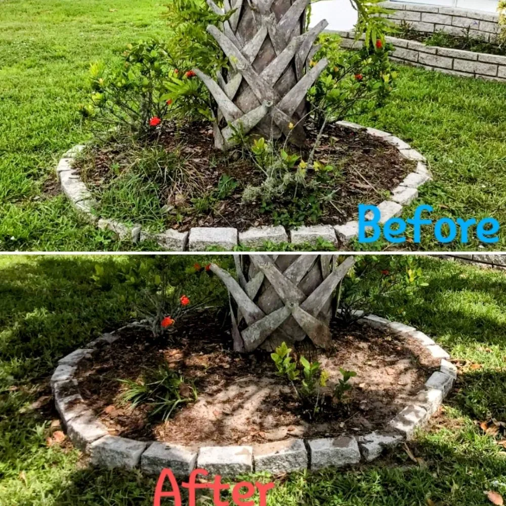 Expert landscaping services for outdoor upgrades across Vero Beach, FL - The Diligent Gardener