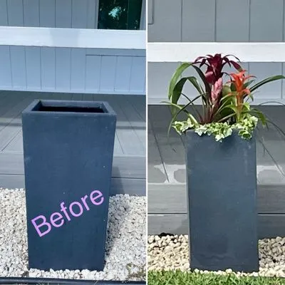 The Diligent Gardener