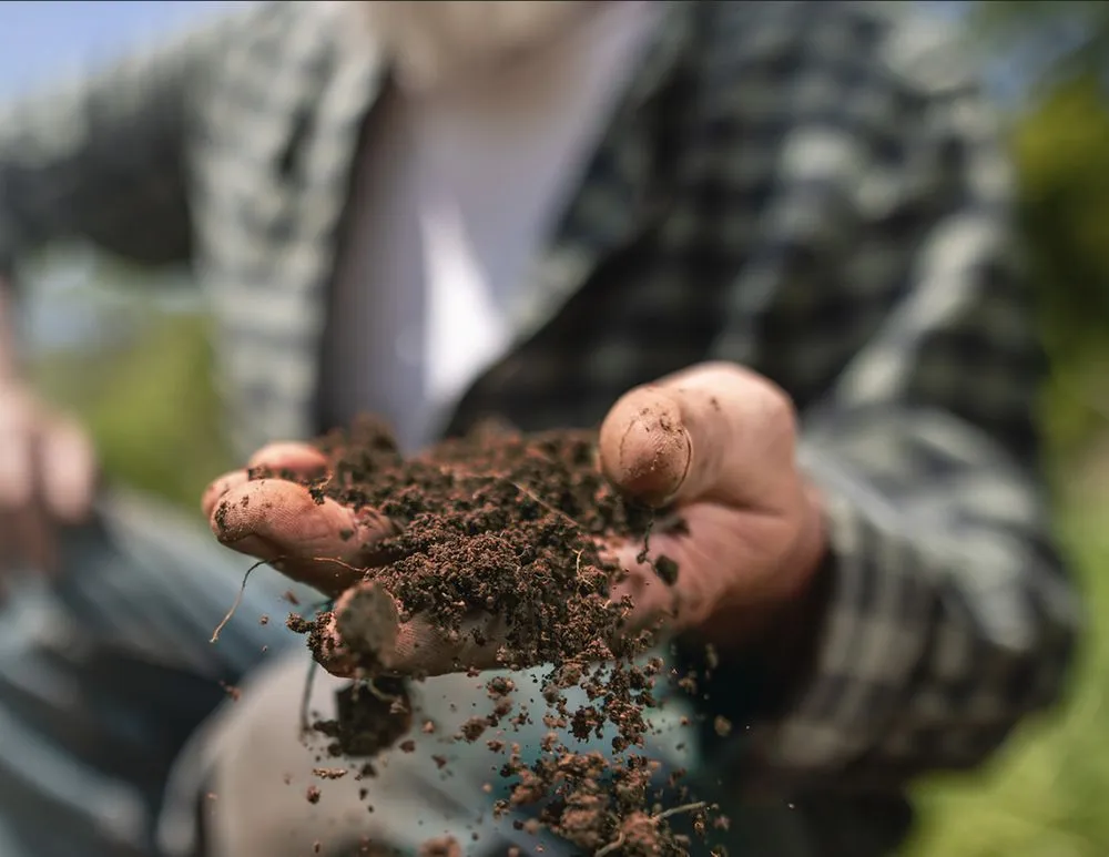 Affordable lawn mowing service for residential properties across Durham, CT - The Dirt Guy