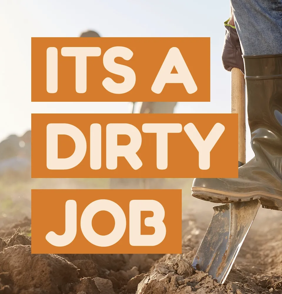 Expert outdoor landscaping in Durham, CT by The Dirt Guy