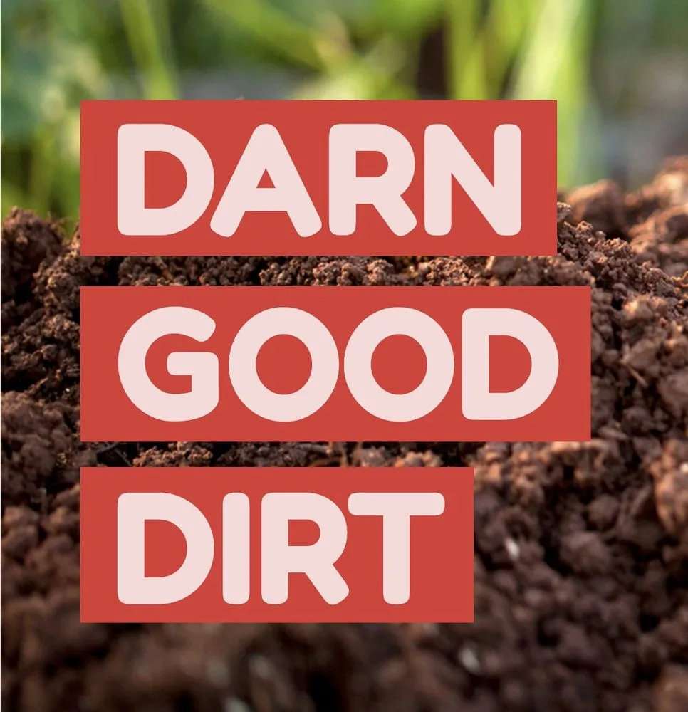 Expert yard maintenance with custom design in Durham, CT by The Dirt Guy