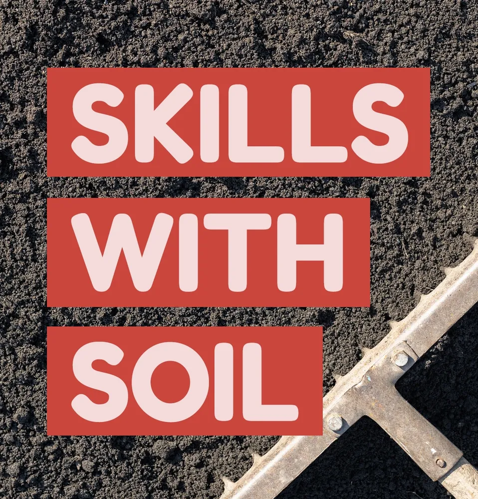 Expert landscaping services in Durham, CT - The Dirt Guy