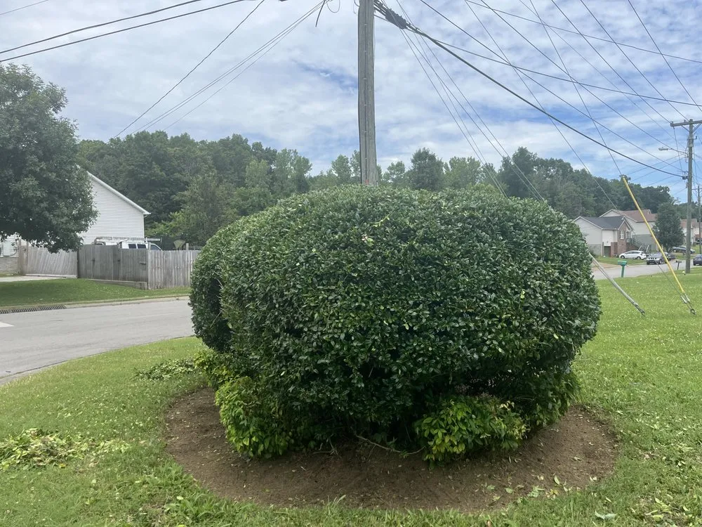 Affordable landscape design in Mt Juliet, TN - The Do It All Boys