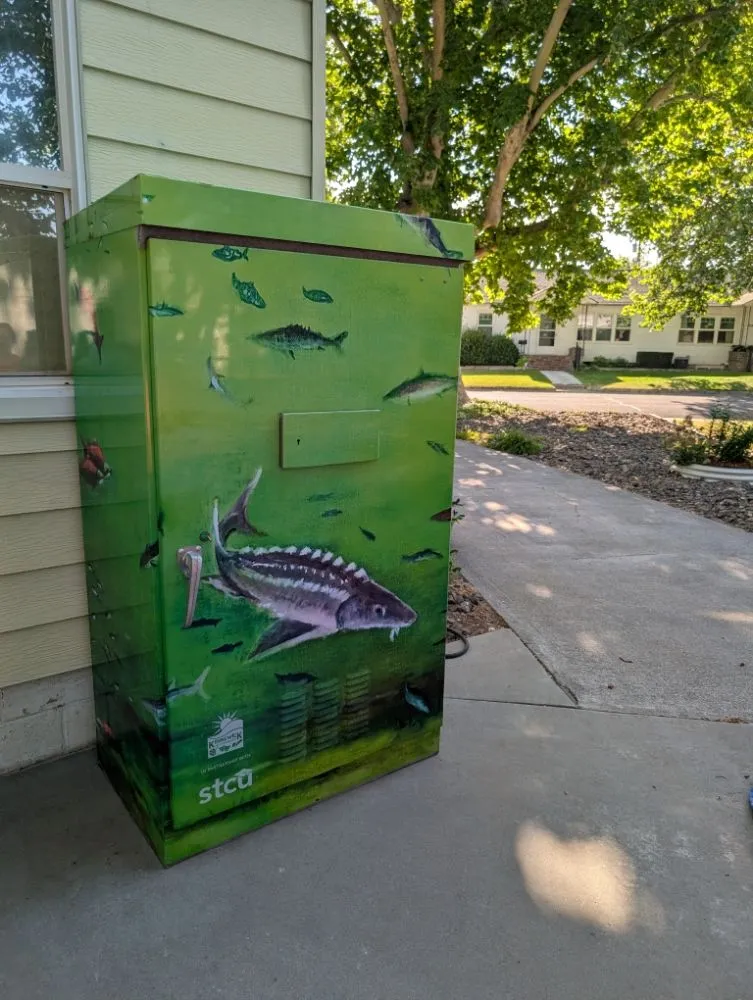 Top-rated landscape design experts serving Kennewick, WA - The Dream Team