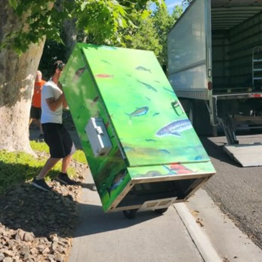 Affordable yard cleanup service experts serving Kennewick, WA - The Dream Team