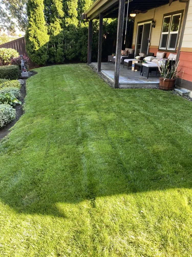 Top-rated lawn care service in Centralia, WA - The Dreamer Landscaping