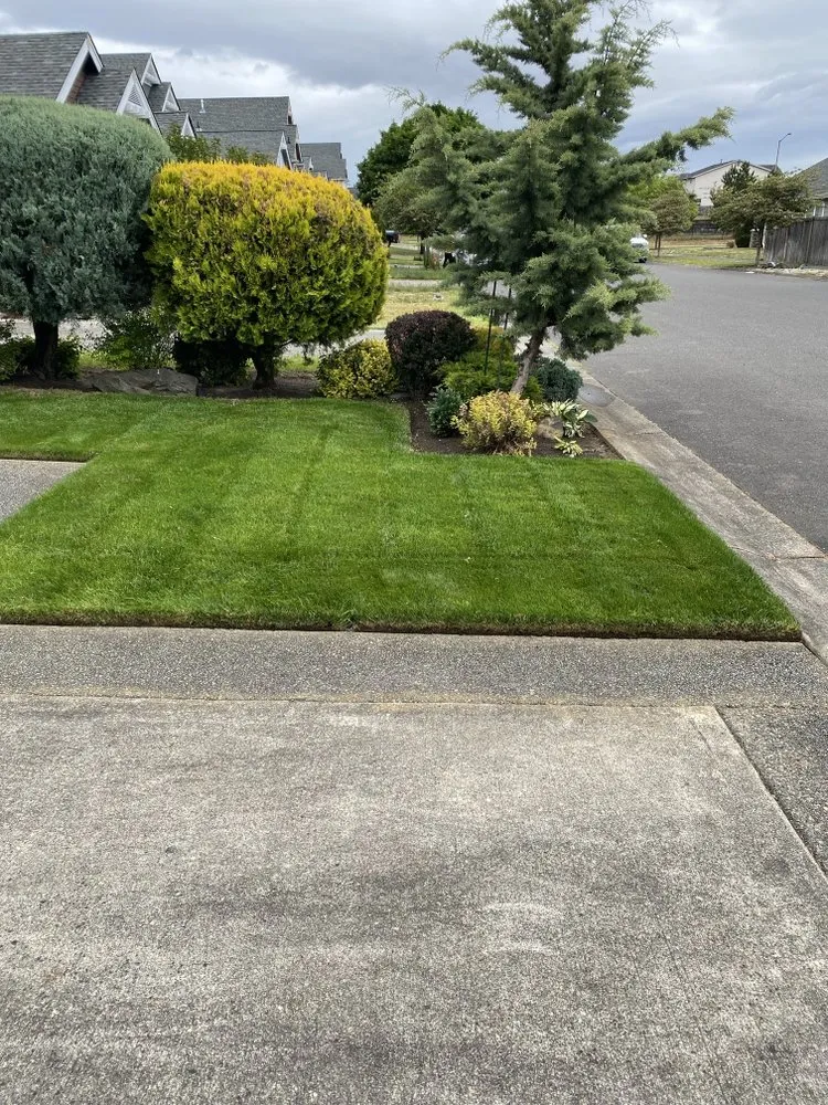 Professional landscaping services in Centralia, WA - The Dreamer Landscaping