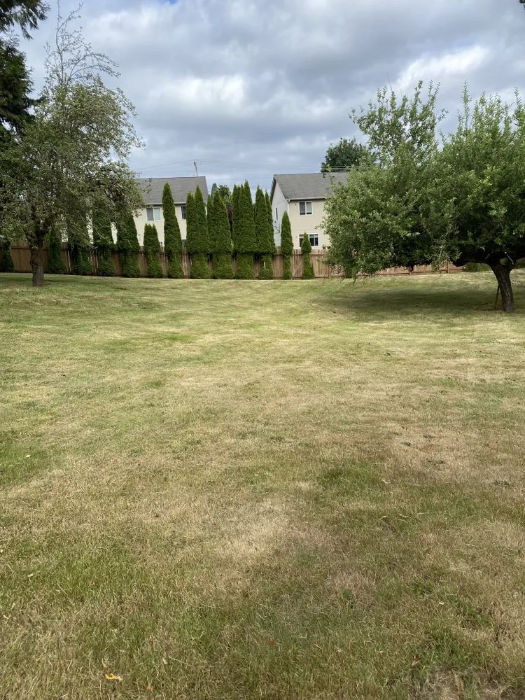 Custom outdoor landscaping for homes across Centralia, WA - The Dreamer Landscaping