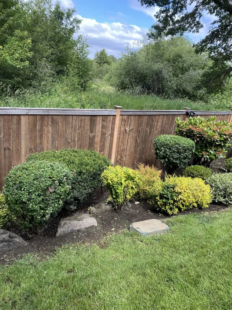 Custom yard cleanup service experts serving Centralia, WA - The Dreamer Landscaping