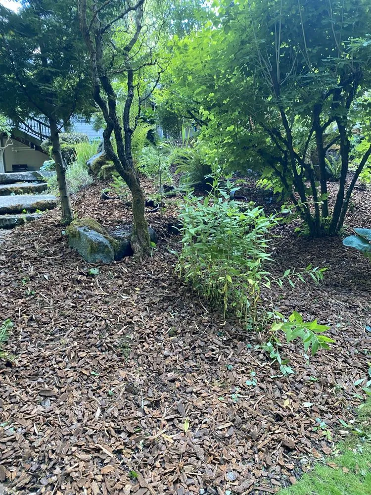 Professional landscaping services with custom design in Centralia, WA by The Dreamer Landscaping