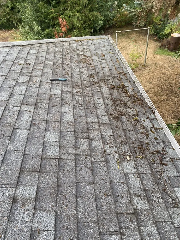 Trusted landscaping services near you across Centralia, WA - The Dreamer Landscaping