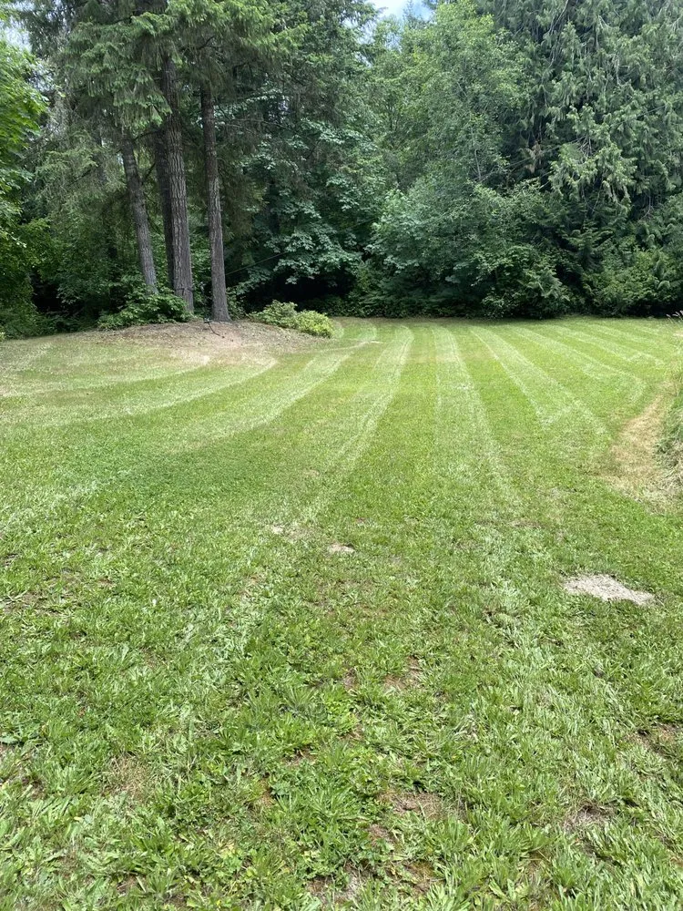 Trusted landscape installation with custom design in Centralia, WA by The Dreamer Landscaping