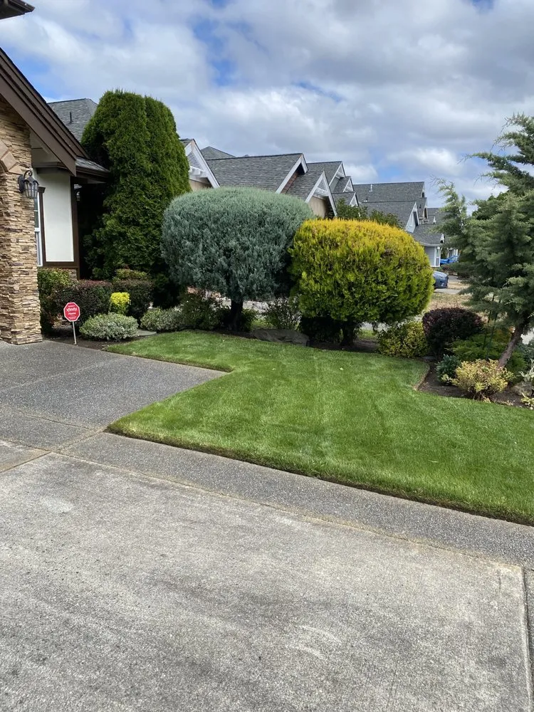 Professional yard maintenance in Centralia, WA - The Dreamer Landscaping