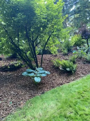 The Dreamer Landscaping Logo