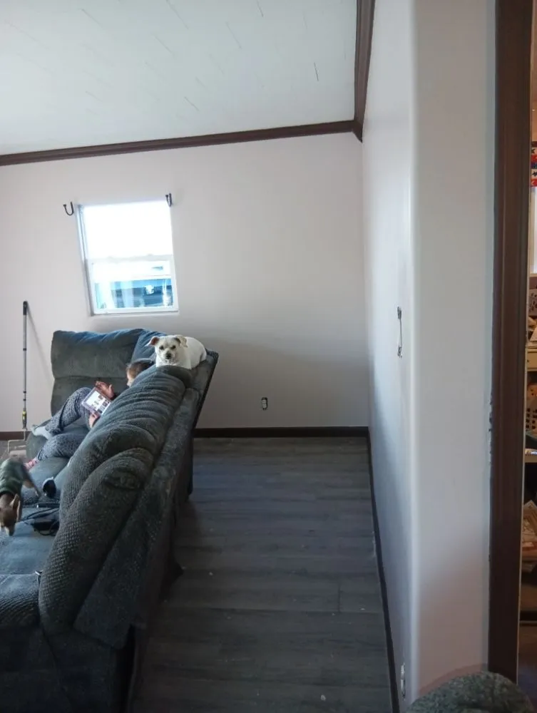 Professional lawn mowing service for residential properties across Marion, OH - The Dude Solutions