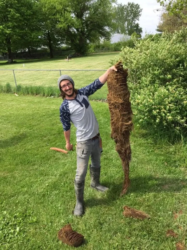 Custom garden landscaping in Marion, OH - The Dude Solutions