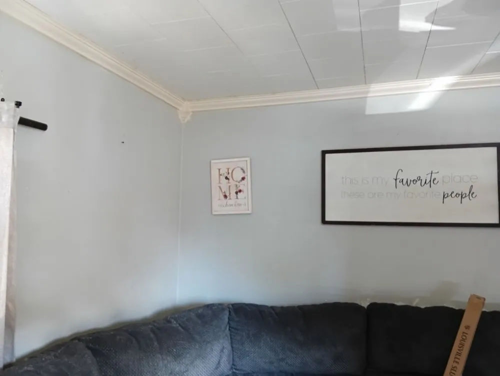 Affordable yard maintenance in Marion, OH by The Dude Solutions