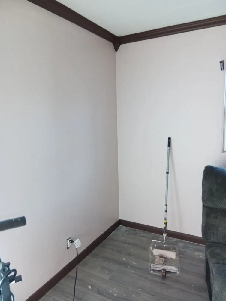 Top-rated yard maintenance for year-round maintenance in Marion, OH by The Dude Solutions