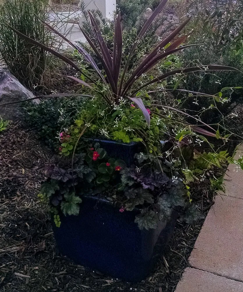 Affordable outdoor landscaping with custom design across Stony Point, NC - The Dynamic Dragonfly,