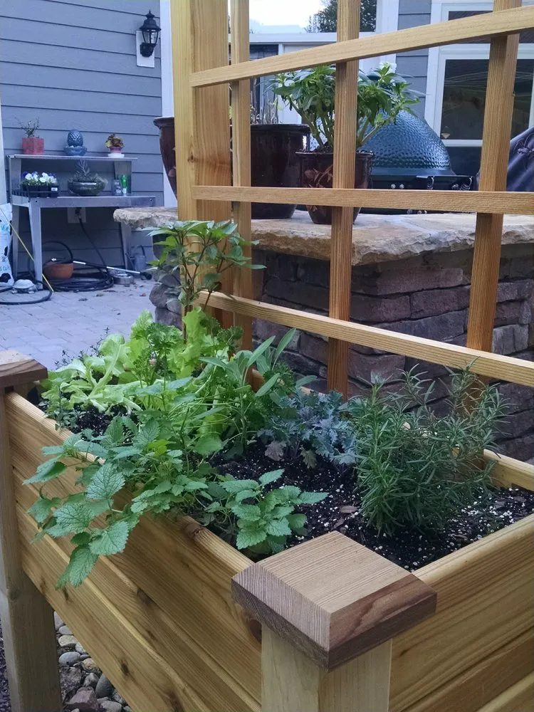 Top-rated landscaping services experts serving Stony Point, NC - The Dynamic Dragonfly,